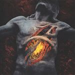The Sin of Human Frailty - CD