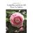 Camelias poéticas del Pazo La Saleta