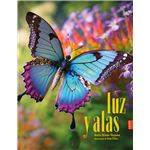 Luz y alas