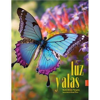Luz y alas