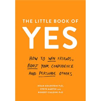 The little book of yes!