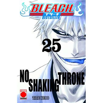 Bleach bestseller n.25