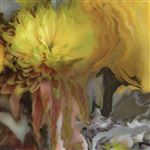 Wilderness Within You - CD