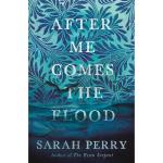 After me comes the flood