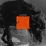 Shook - 2 Vinilos