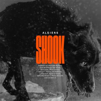 Shook - 2 Vinilos