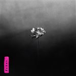 Lp-lotus (2lp)
