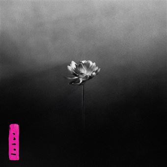 Lp-lotus (2lp)