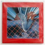 12 Compost Disco Years - 2 Vinilos