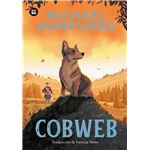 Cobweb