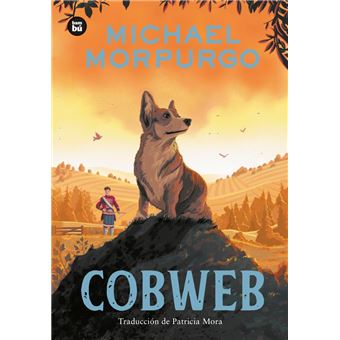 Cobweb
