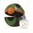 Poké ball Clip N Go Pokémon Bizak - Varios modelos_11