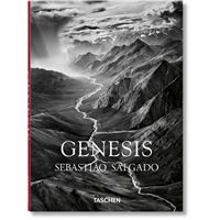 Salgado, Genesis