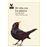 Mi Vida Con Los Pajaros