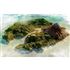 Sakuna: Of Rice And Ruin PS4_5