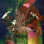 Playa Larga / 1900 Ocean Ave - Vinilo