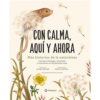 Con calma aqui y ahora
