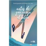 Antes de que caiga el telón