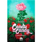 Candy Candy - La historia definitiva