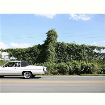 When I Go I Ghost - Vinilo