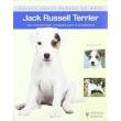 Jack Rusell Terrier