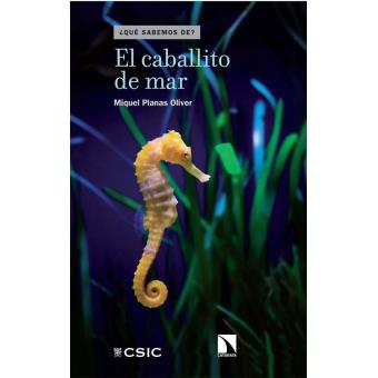 El caballito de mar - 1