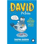 David pichon