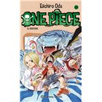 One piece 29