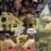 Breaking The Balls Of History - Vinilo Rosa