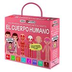 Cuerpo humano