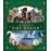 J. K. Rowling's Wizarding World. Cine Mágico 2: Criaturas curiosas