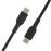 Cable Belkin Boost Charge USB C a USB-C Negro 2 m