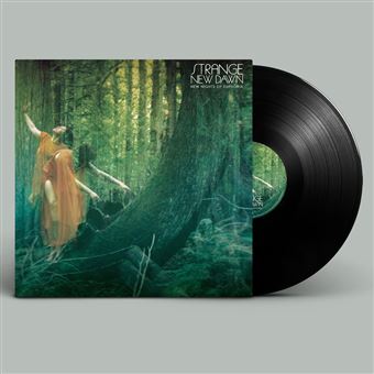 New Nights Of Euphoria - Vinilo
