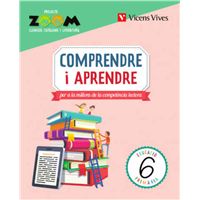 Comprendre I Aprendre 6 (Zoom)