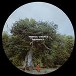 Dinamarca - Vinilo