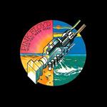 Wish you were here - Vinilo