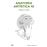 Anatomia Artistica 10