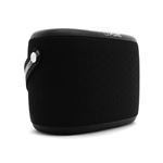 Altavoz portátil Bluetooth Pure Woodland Negro