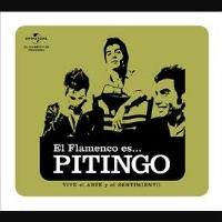 El flamenco es...Pitingo