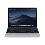 MacBook 12'' M3 1,2 GHz 16/256 GB Gris espacial