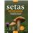 Setas