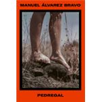 Manuel Alvarez Bravo. Pedregal