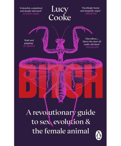 Transworld Bitch