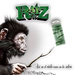 Asi En El Cielo Como En La Selva - CD