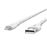 Cable Belkin DuraTek de Lightning a USB-A con cinta Blanco