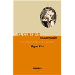 El cerebro enamorado