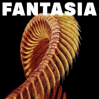 Fantasia - 2 Vinilos Mostaza
