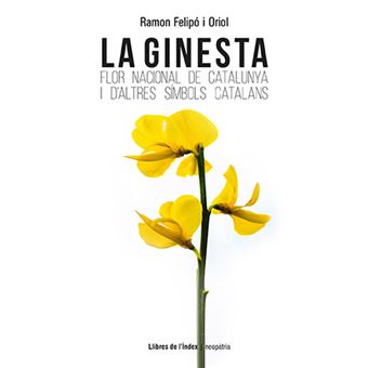 La ginesta flor nacional de catalun
