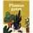 Plantas y gatos