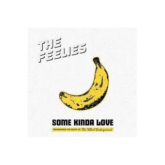 Some Kinda Love: the Music of the Velvet Underground